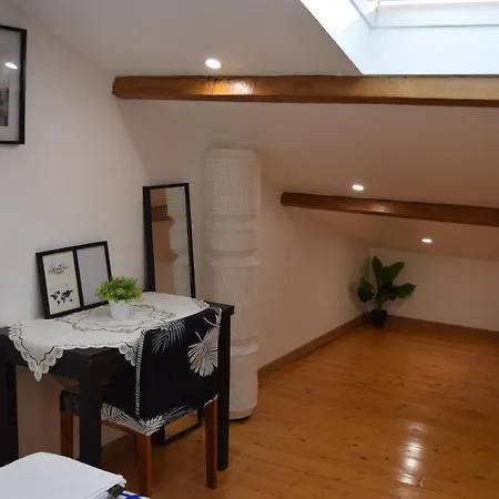 La Joie Dans Quartier Chic 아파트 Pibrac